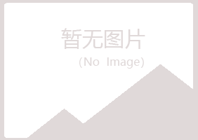 衡阳雁峰女孩金融有限公司